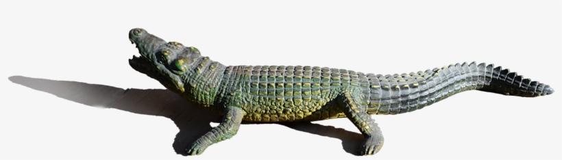 Alligator Png Image - Nile Crocodile, transparent png