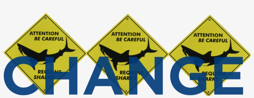 In Several Of The Articles I Write I Discuss The Brass - Attention Requin, transparent png