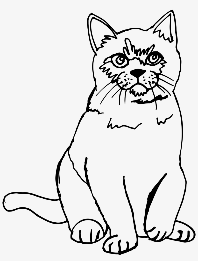 Clipart - Sketch Picture Of Cat, transparent png