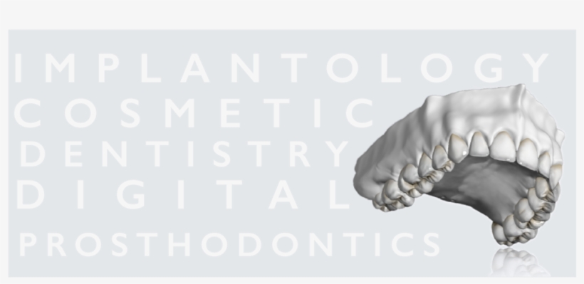 Headerfile Outline Cuts - Paw, transparent png
