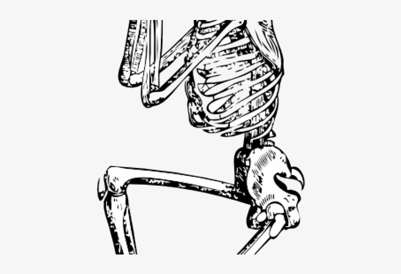 Sleleton Clipart Small Skeleton - Skeleton Drawing Png, transparent png