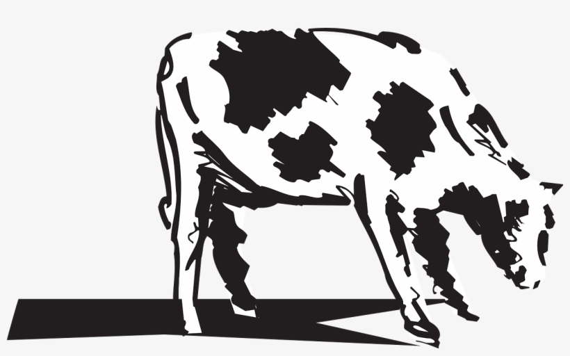 Boi Desenho Png - Dessin Boeuf Hd, transparent png