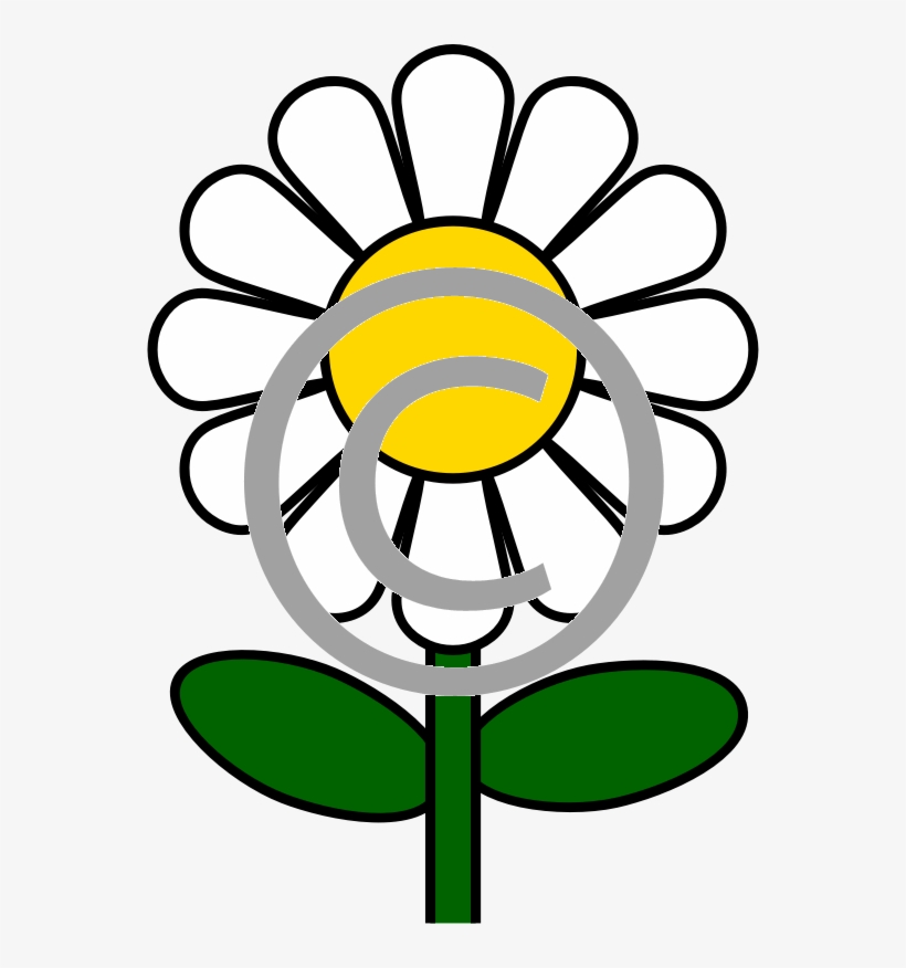 White Daisy - Free Daisy Coloring Pages, transparent png