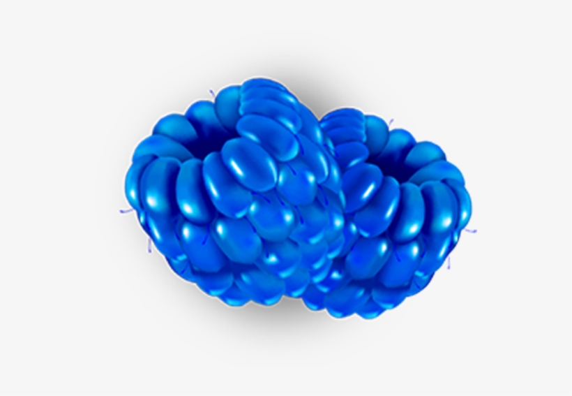 Ca $29 - Seedless Fruit, transparent png