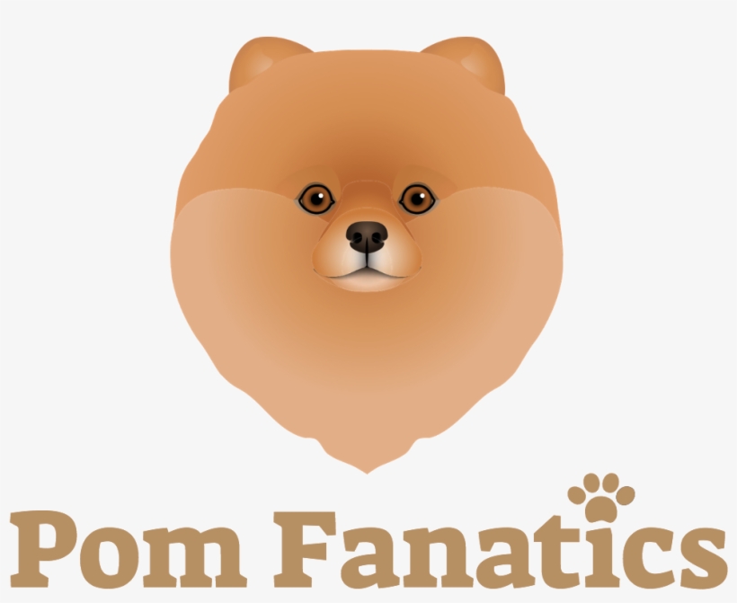 Dogs, Pomeranians, Dog Breeds, Doggies, Species Of - Pomeranian, transparent png