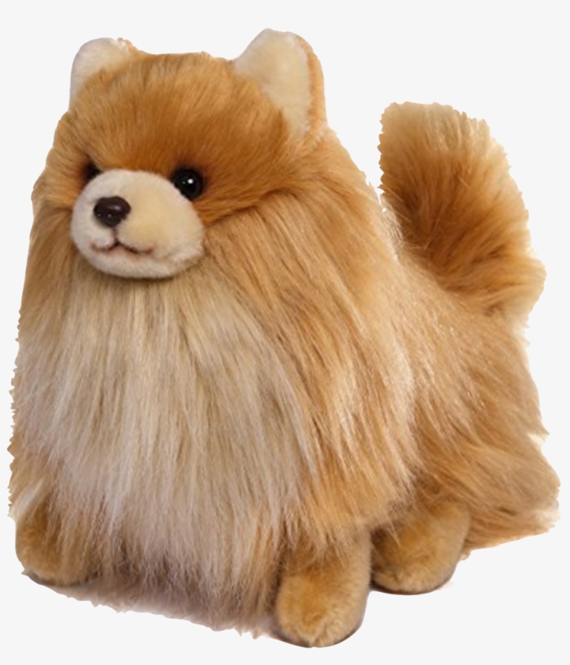 Cute Pomeranian Puppies - Buddy And Boo Stuffed Animals, transparent png