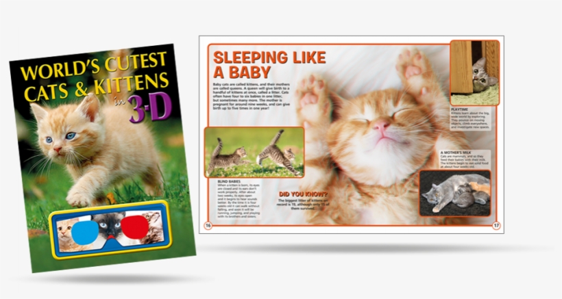 World's Cutest Cats & Kittens In 3d, transparent png
