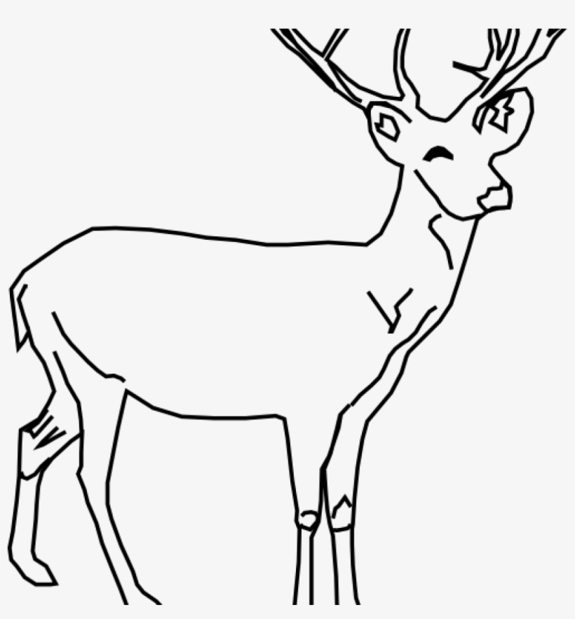 White Tailed Deer Clip Art Whitetail Deer Clip Art - Deer Clip Art, transparent png