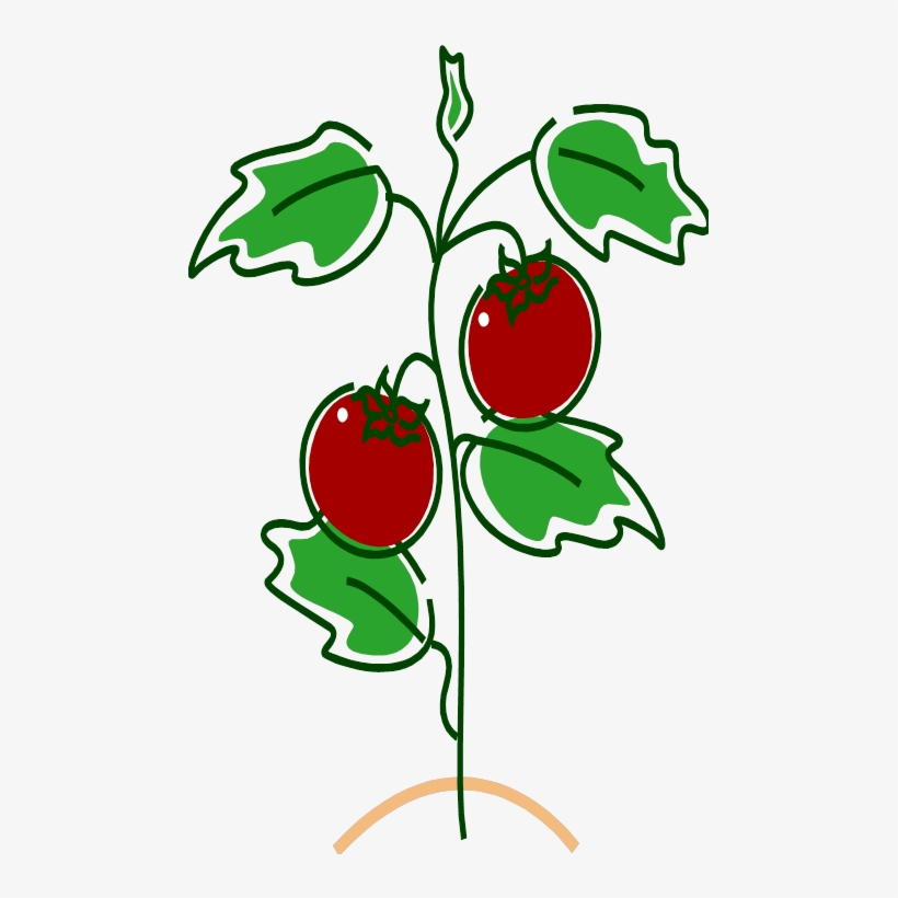 And By The Time The Tomato Was In The House It Was - Tomato Diseases Gif, transparent png