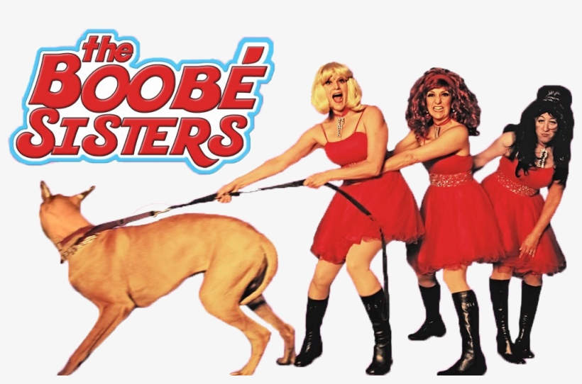 13-og W=1001&h=614 - Dog, transparent png