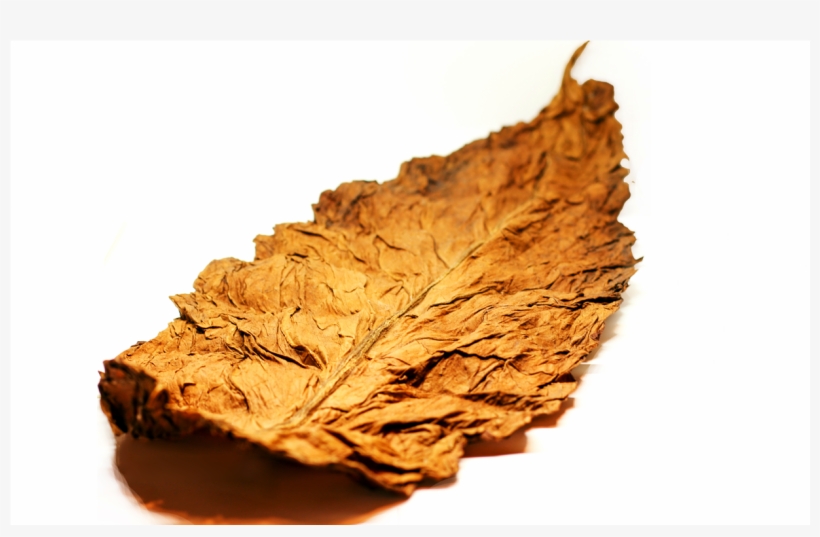 100% All Natural Whole Leaf Tobacco - Autumn, transparent png