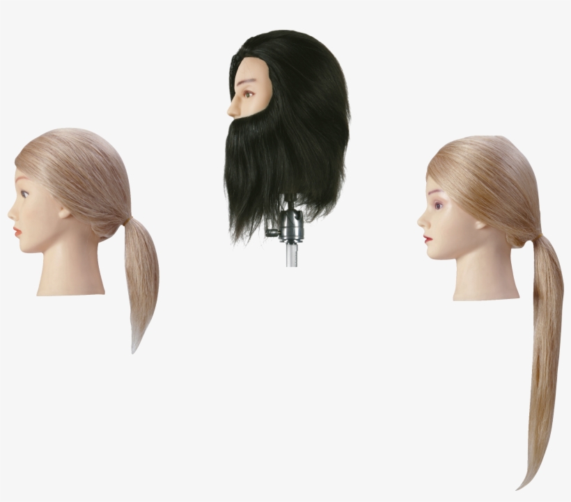 Mannequins - Lace Wig, transparent png