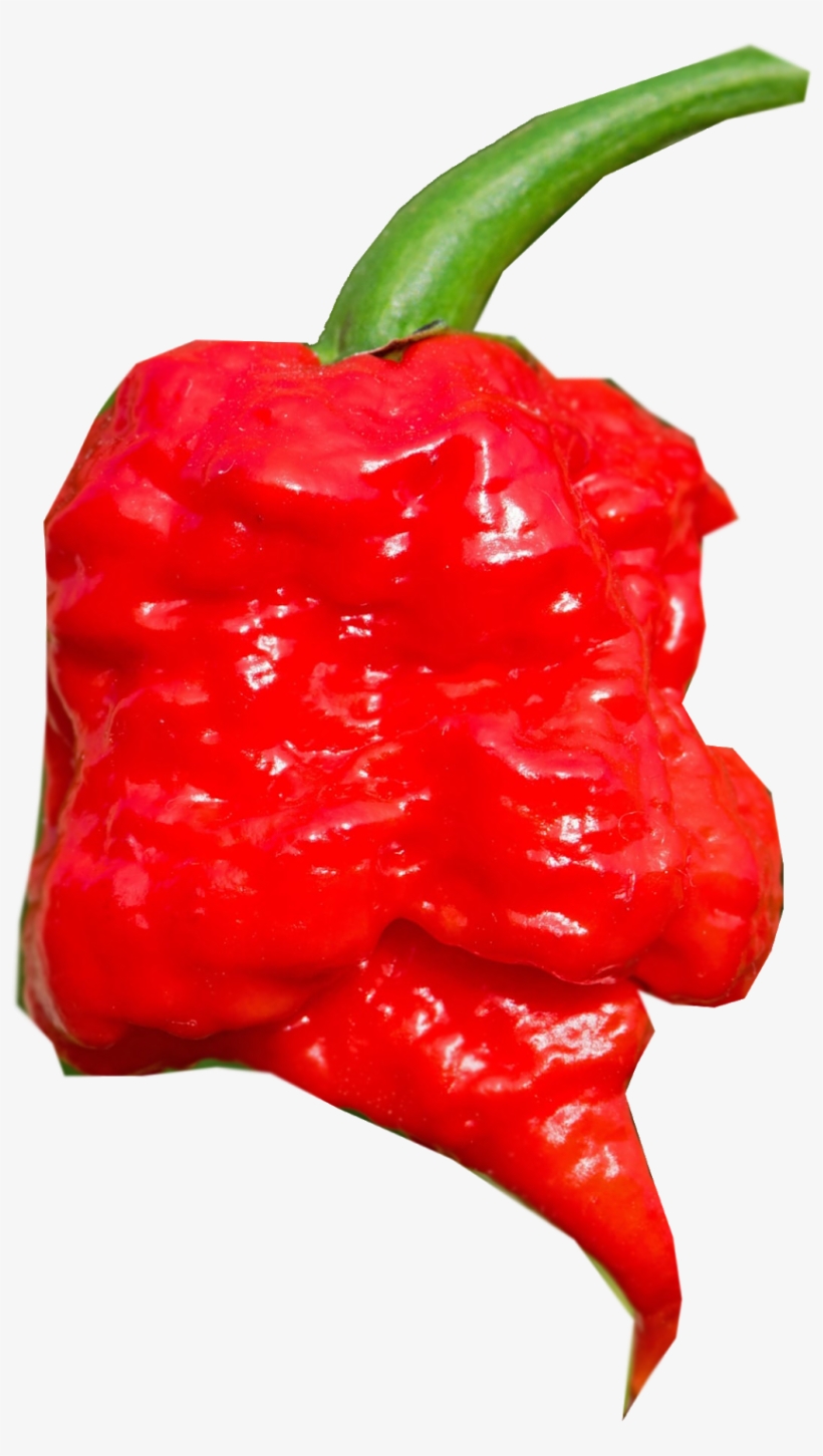 Cayenne Pepper Piquillo Bird - Habanero Chili, transparent png