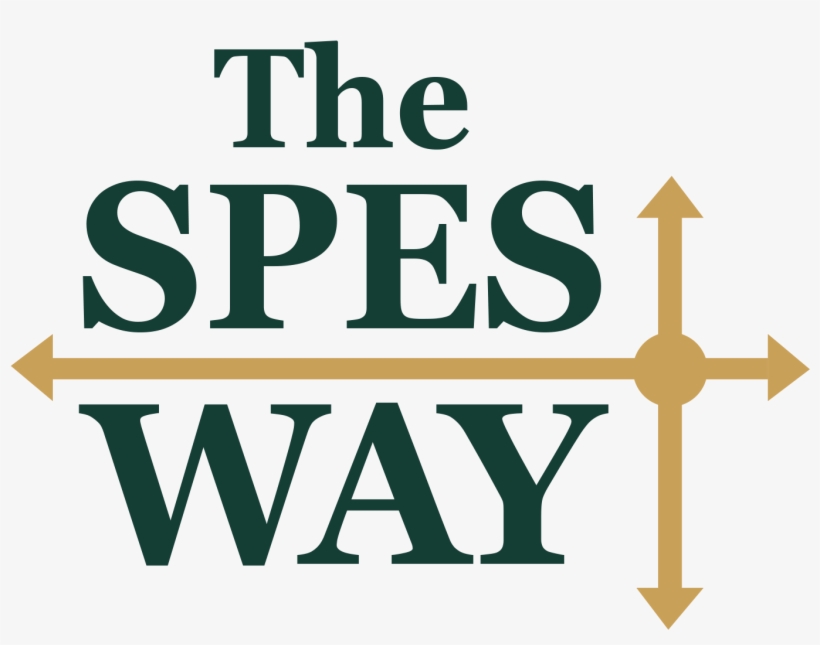 Selecting The Right School And Environment For Your - Cross, transparent png