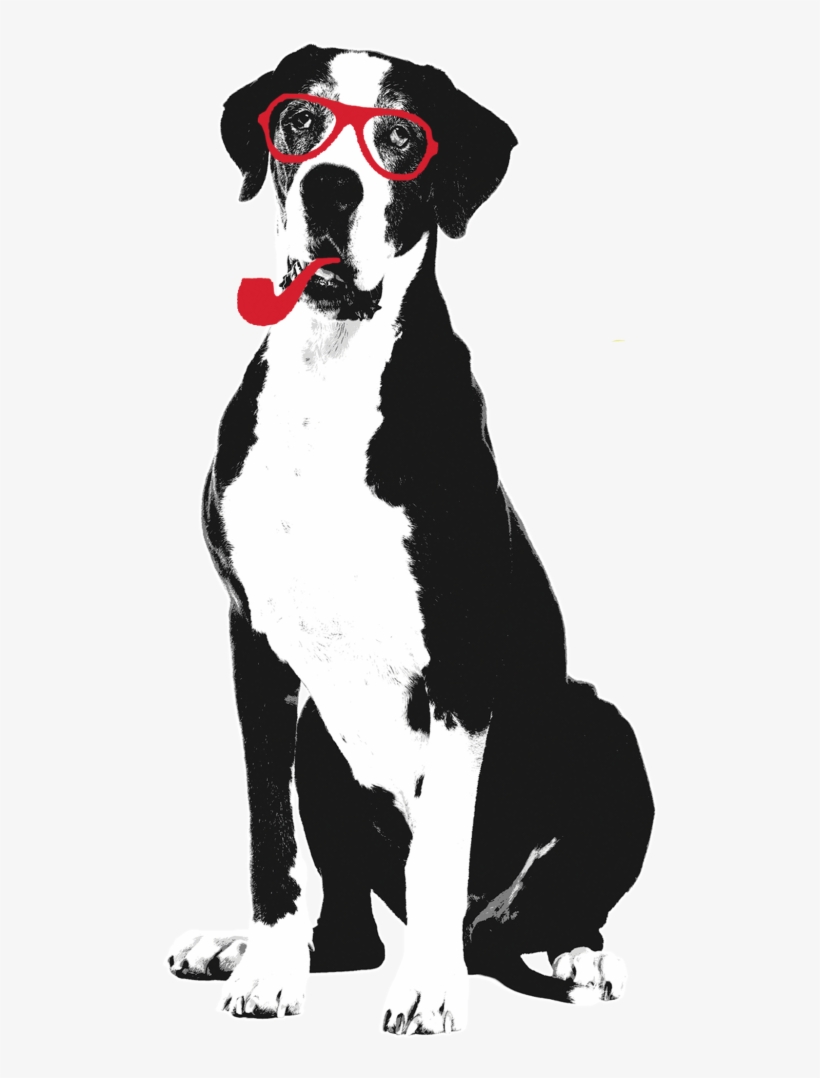 Charlienobackground 1 - Dalmatian, transparent png