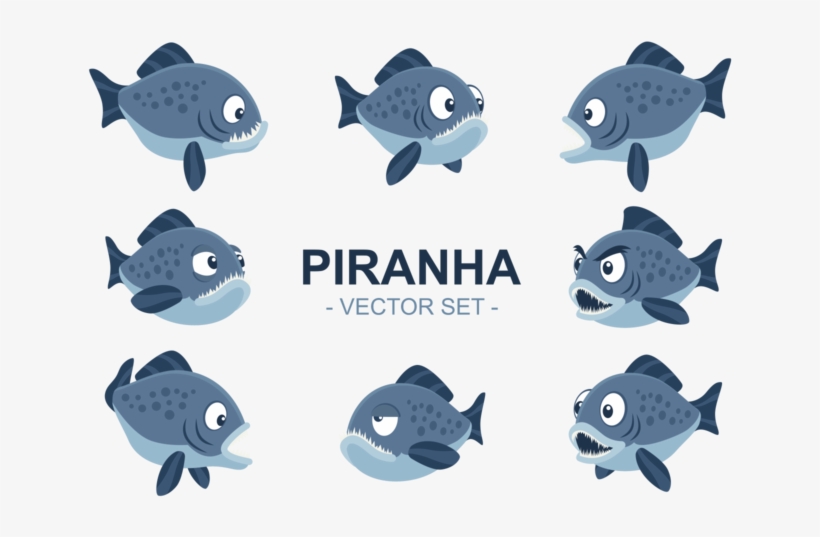 Coral Reef Fish, transparent png