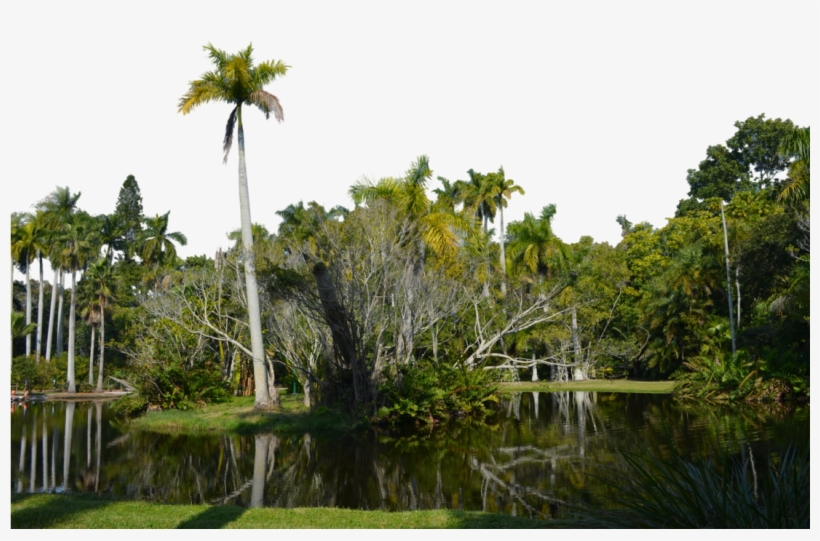 Go To Image - Tropical Island Transparent Background, transparent png