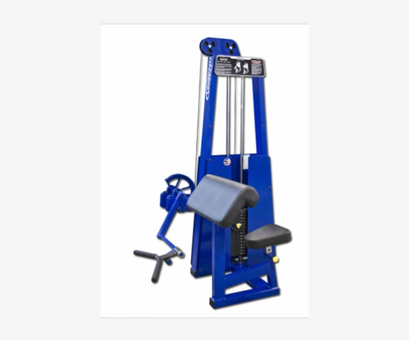 Legend Bicep Curl - Weightlifting Machine, transparent png
