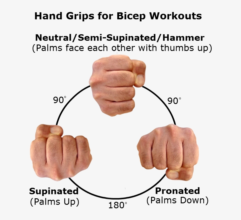 Short And Stout Maximizing Thickness With The Short - Hairy Knuckles, transparent png