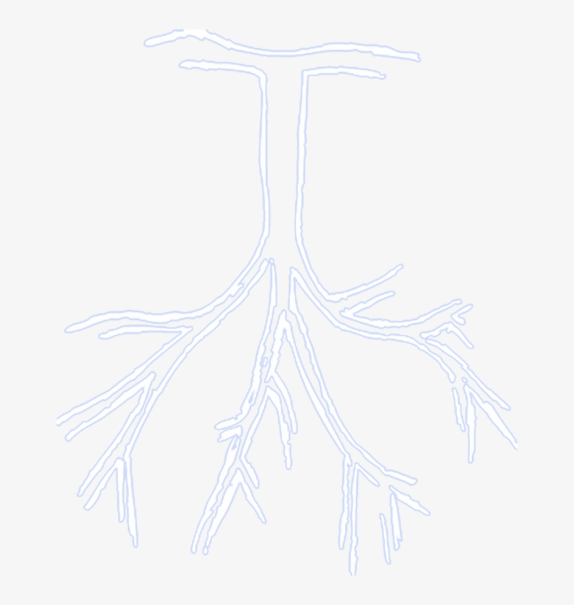 1500 X 1071 2 - Sketch, transparent png