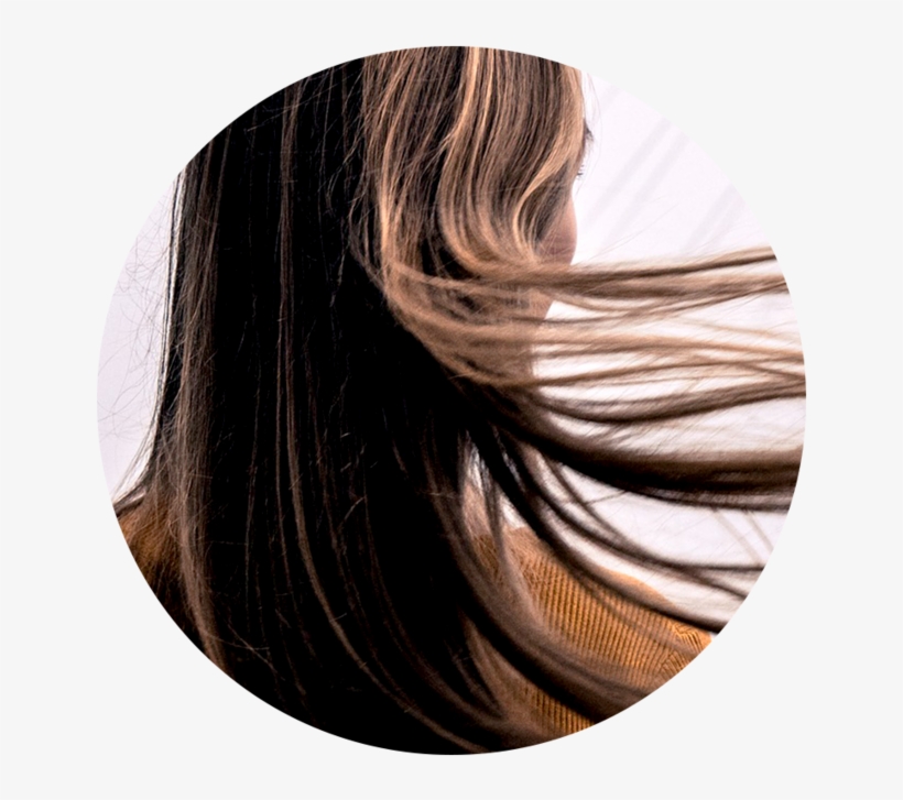 Why It's Great - Hair, transparent png