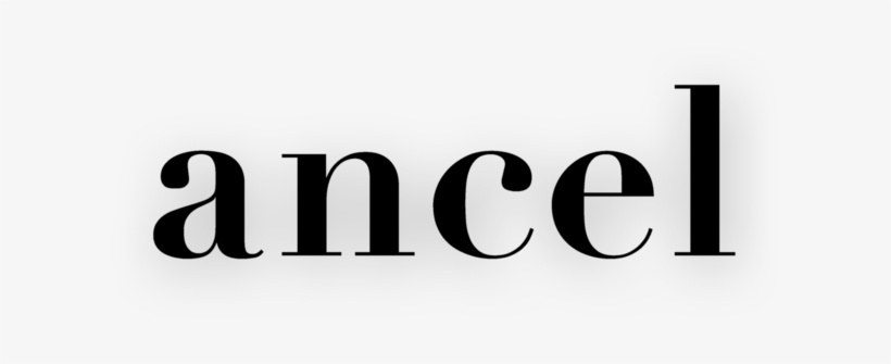 Instead Of Intimidating Price Tags, Ancel Offers Beautifully - Graphics, transparent png