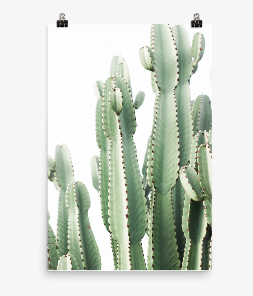 Pastel Desert - Cactus, transparent png