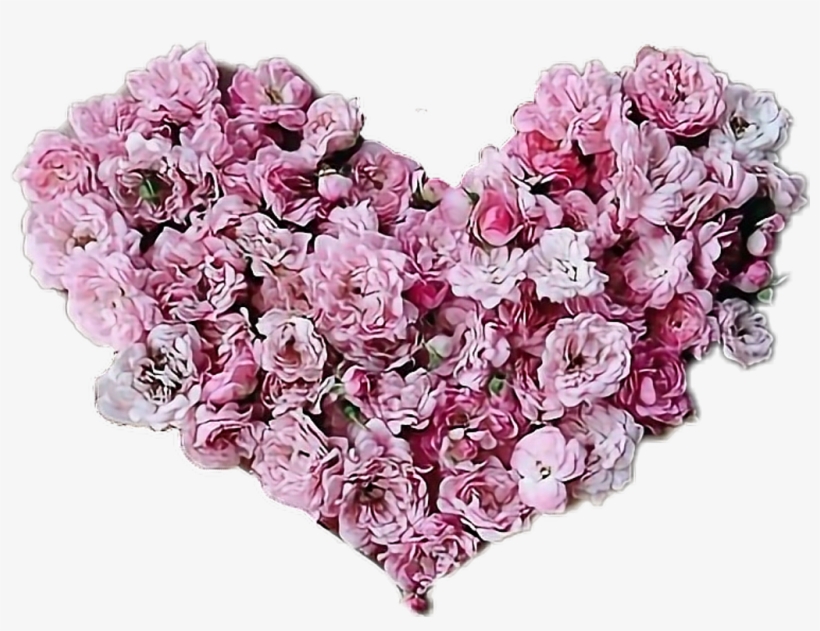 Report Abuse - Flower, transparent png