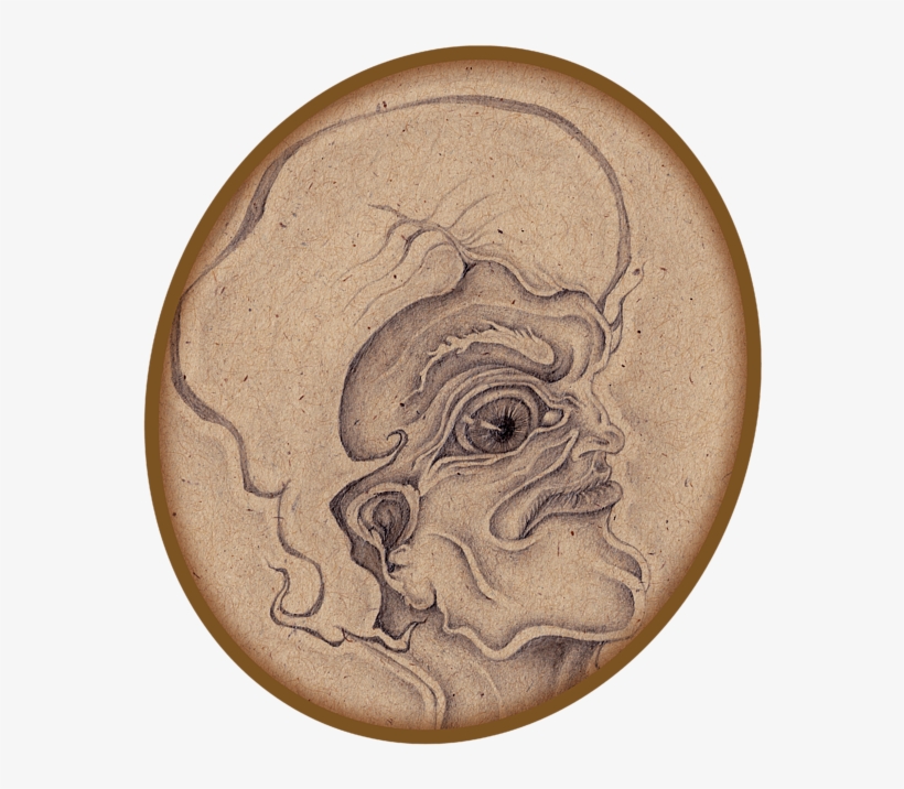 Bleed Area May Not Be Visible - Circle, transparent png