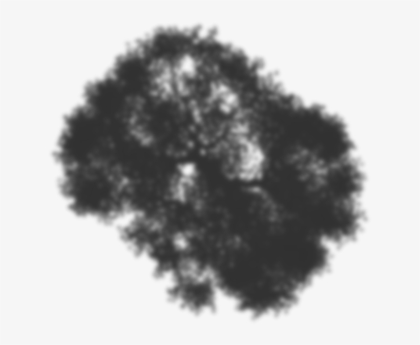 Blossoming Cherry Tree 08 Shadow - Tree, transparent png