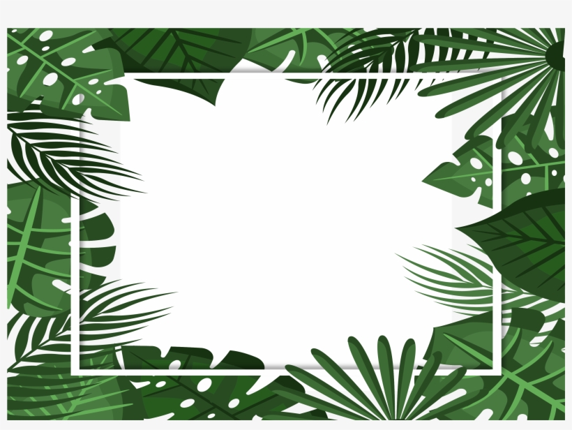 Tropical Frame No Shadow - Illustration, transparent png