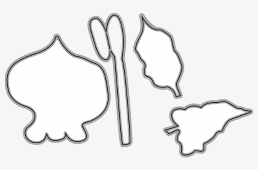 Garden Notes - Calla Lily - Drawing, transparent png