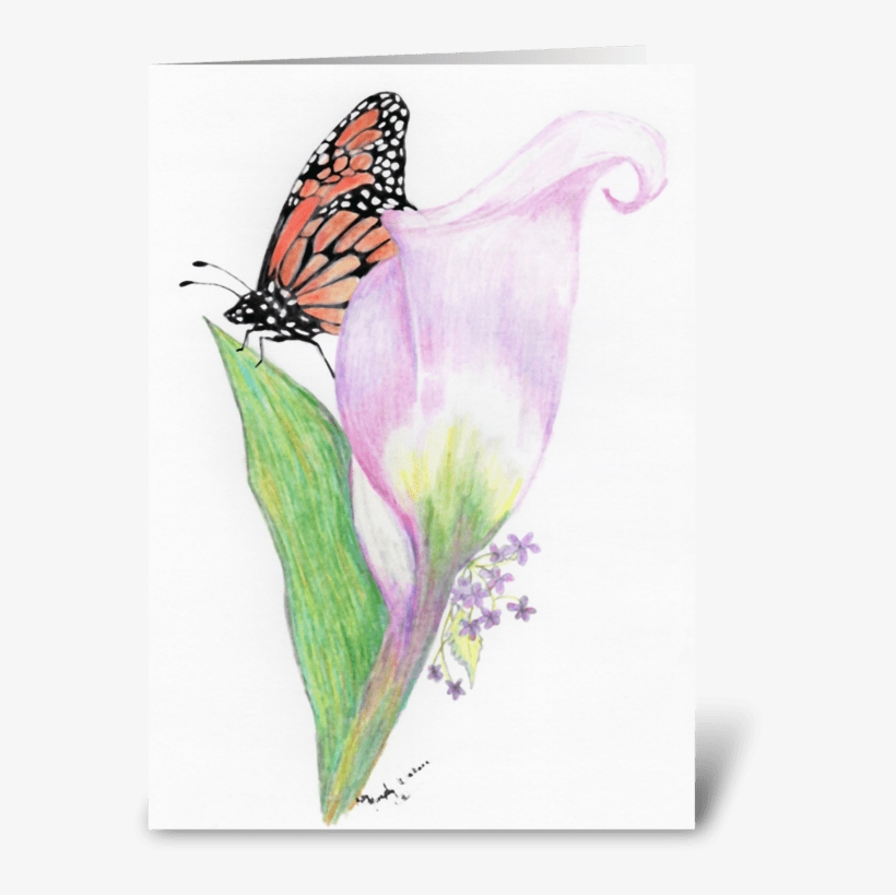 Butterfly And Calla Lily Greeting Card - Arum, transparent png