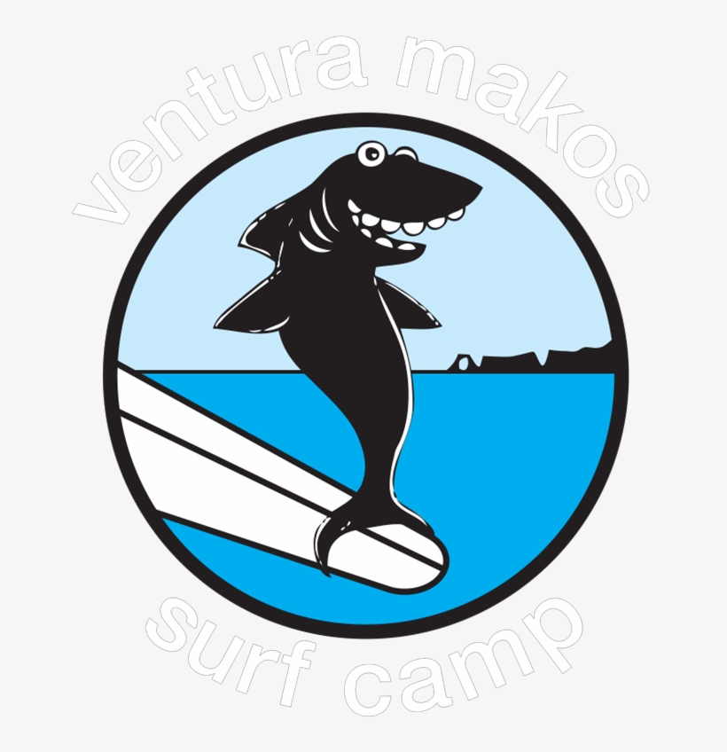 Vm Shark Art - Cartoon Shark Surfer Transparent, transparent png