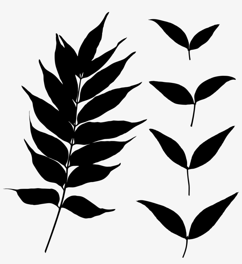 Leaf Silhouette - Portable Network Graphics, transparent png