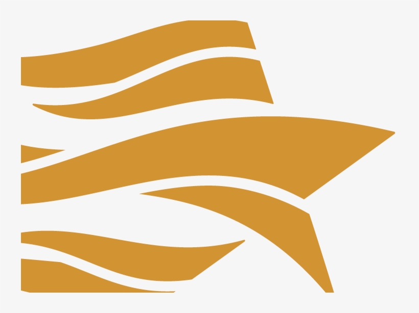 Communities Foundation Of Texas, transparent png