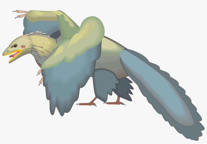 Bird Wings Taking - Archaeopteryx, transparent png