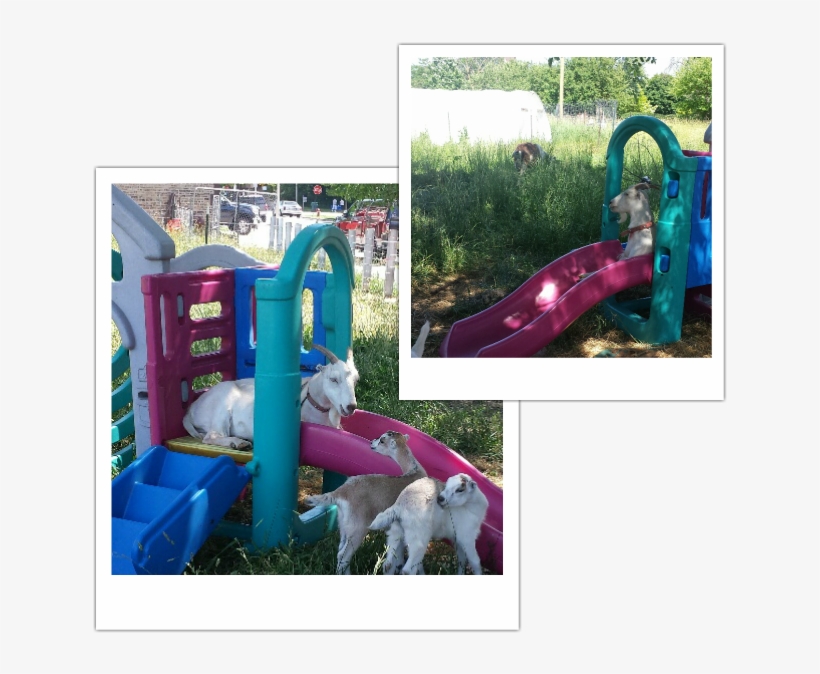 Playground Slide, transparent png