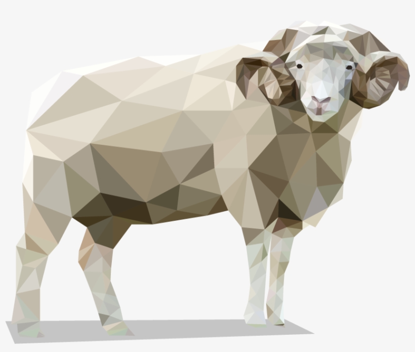 The Dorset Horn Sheep Are A Unique British Derived - Bighorn, transparent png