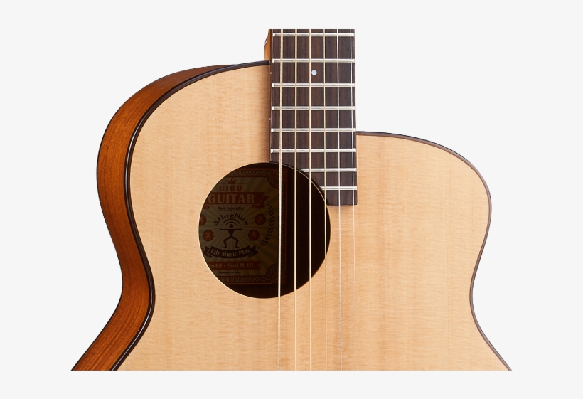 [m Feather Bird Feather Bird] Surface Single Steel - Acoustic Guitar, transparent png