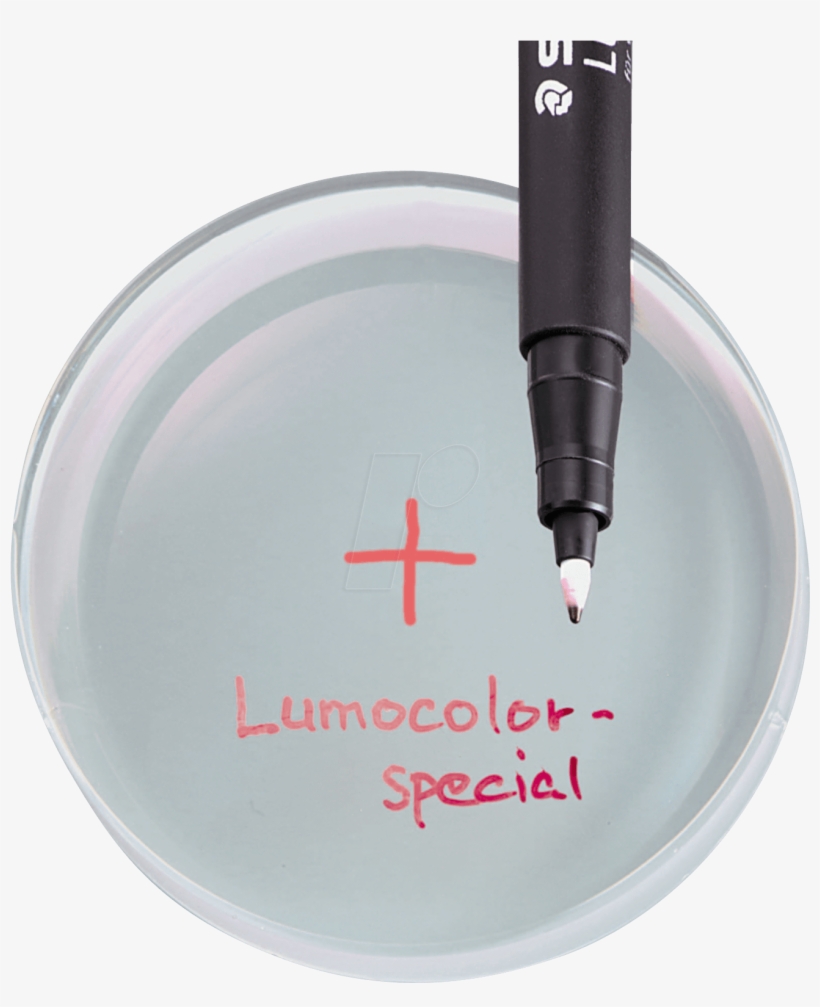 Permanent Special Pen F / - Writing, transparent png