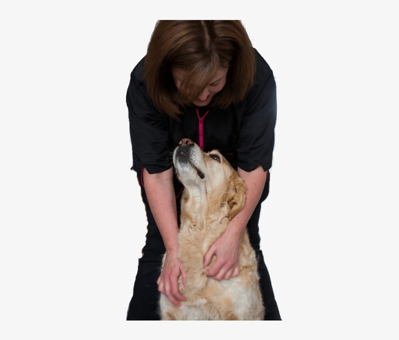 Dog Yawns, transparent png