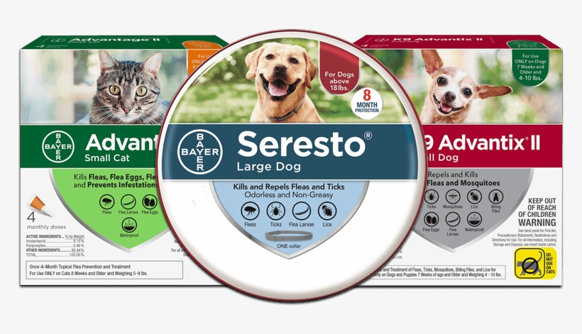 Flea And Tick Prevention Products - Bayer, transparent png