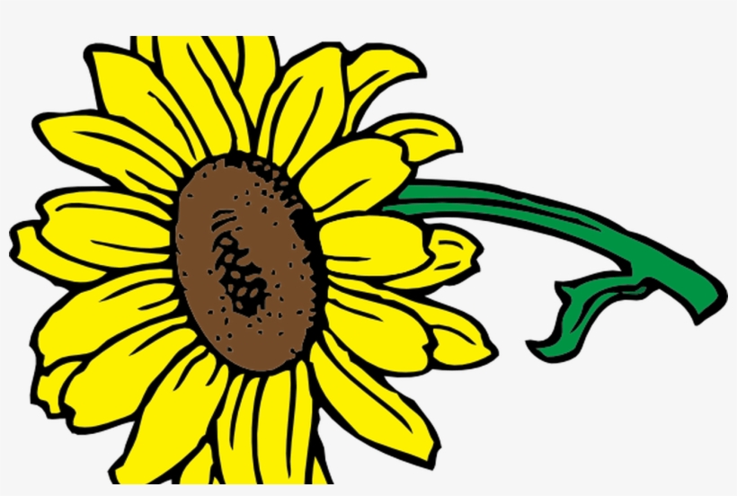 Sunflower Clip Art At Clkercom Vector Clip Art Online - Clip Art, transparent png