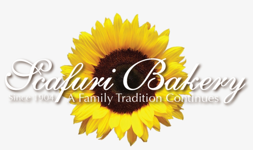 Scafuri Bakery - Sunflower, transparent png