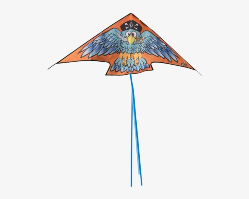 Pirate Parrot - Illustration, transparent png