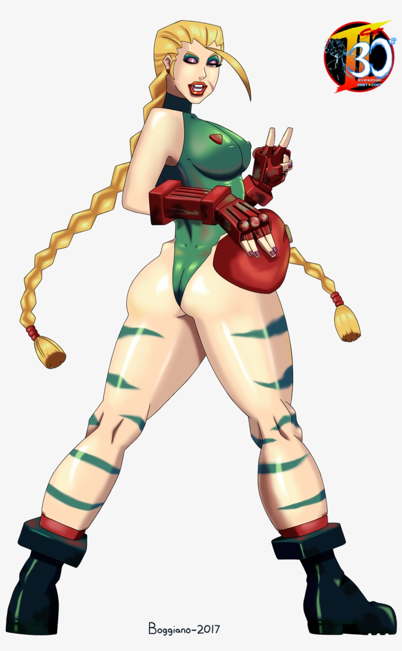 Our Street Fighter 30th Tribute, transparent png