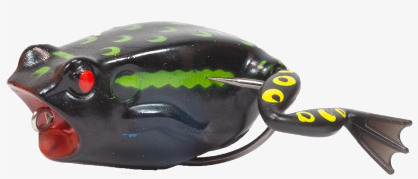 Anura Black - Dung Beetle, transparent png