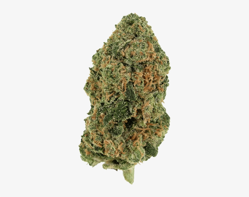 Zed - Indica - Igneous Rock, transparent png
