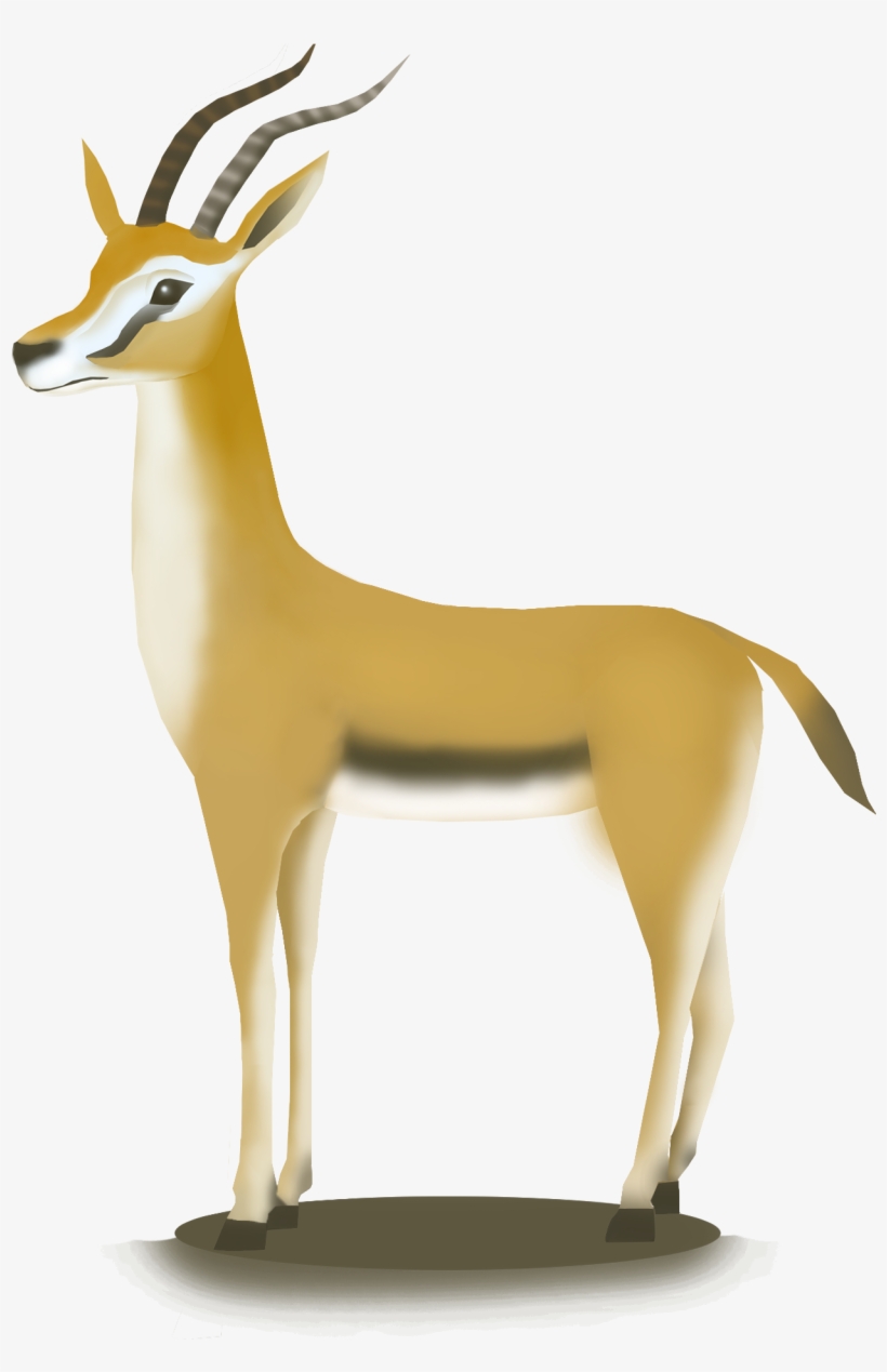 Hand Drawn African Antelope Hd Animal Png And Psd - Thomson's Gazelle, transparent png